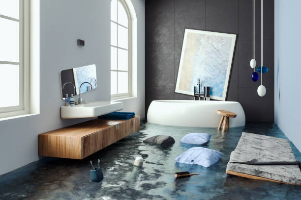 Best Flood restoration services  in Plymouth, IN