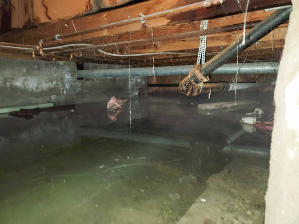 Best Water damage restoration specialists  in Plymouth, IN