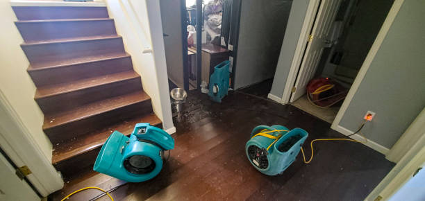  Plymouth, IN Water damage restoration Pros