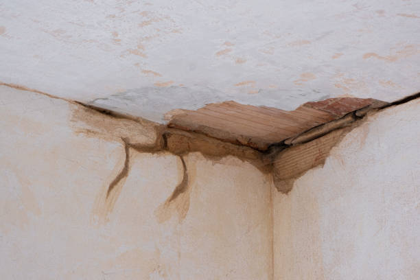 Best Professional water damage repair  in Plymouth, IN
