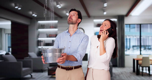Best Water damage contractors near me  in Plymouth, IN